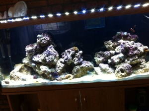 Waters clear