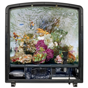 BioCube