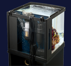 BioCube