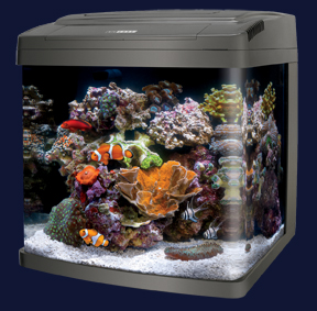 BioCube