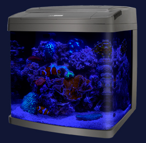 BioCube