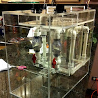 Pellets DIY Reactor