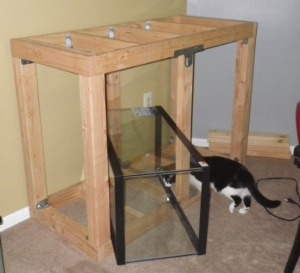 Frame1