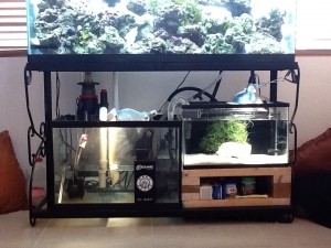 Whats under my tank.