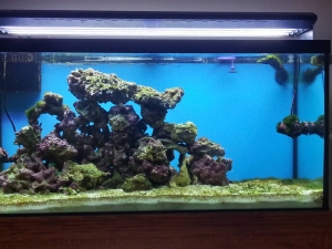 8 months and counting