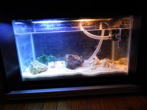 tank