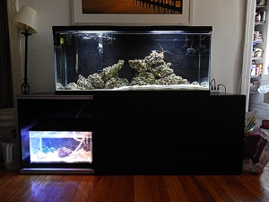 tank