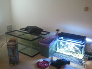 2013-08-11_13_50_06
