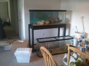 2013-08-14_14_09_45