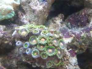 2013-08-14_17_28_18