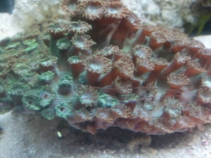2013-08-14_17_29_22