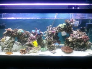 2013-08-20_11_21_27