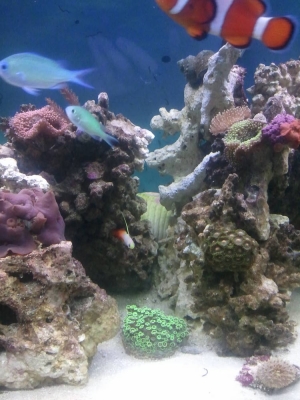 2013-08-20_11_22_24