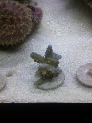 2013-08-27_14_41_56