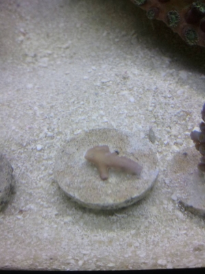 2013-08-27_14_42_28