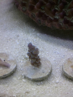 2013-08-27_14_42_57