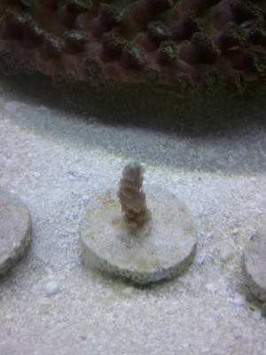 2013-08-27_14_43_16
