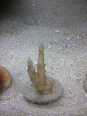 2013-08-27_14_43_52