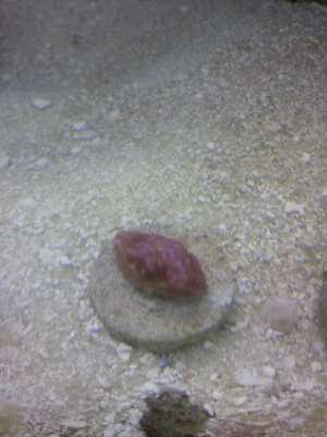 2013-08-27_14_44_05