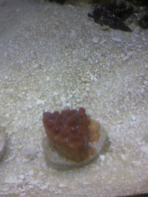2013-08-27_14_44_16