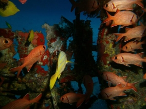 1010 Feet down in the WWII U.S Corasir Hawaii
