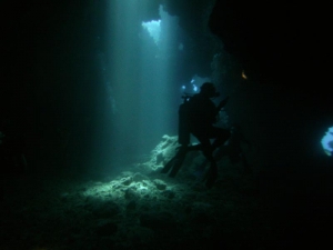 looking for Zoa/Pallys/Matts/Cups in the wilds of Hawaii