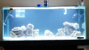 new tank progression