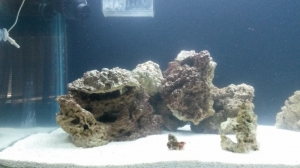 new tank progression