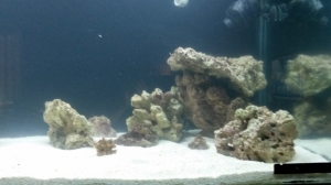 new tank progression