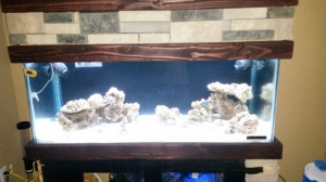 new tank progression