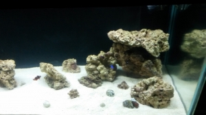 new tank progression