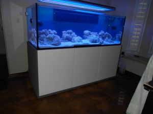av8bluewater tank