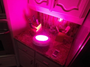 LED fuge light