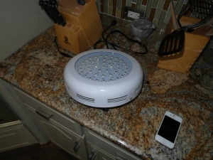 LED Refugium light