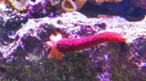 It Lives!