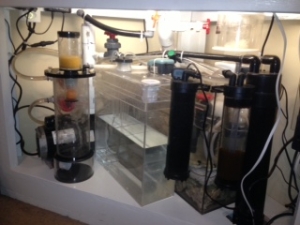 Filter System