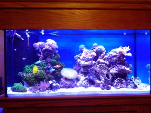 90 Gal Day 6