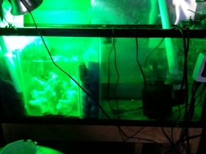 sump