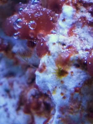 What is this?