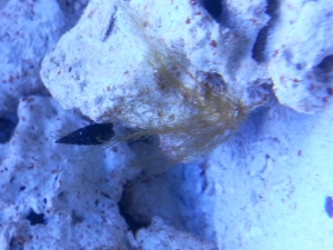 20140413_105300