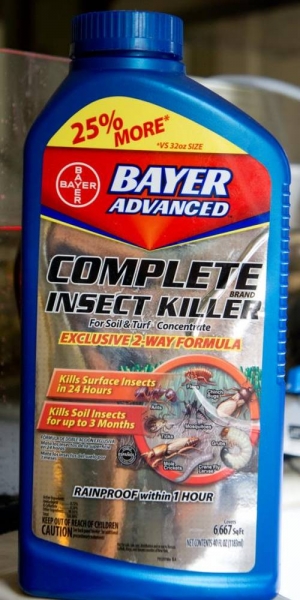 bayer