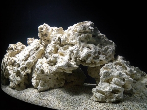 Dry rock aquascape