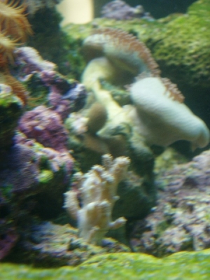 P1010102
