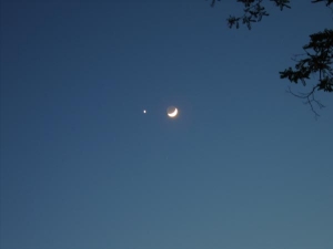 moon
