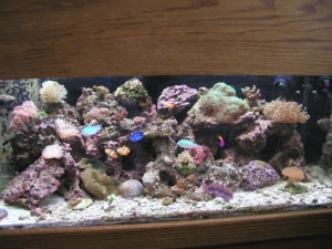 Salt Tank 8 31 08
