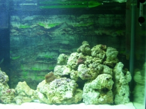 Right side