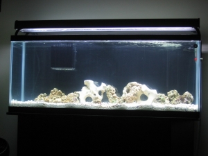just starting