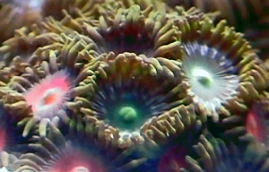 DCAM0056