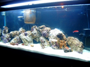 clear water