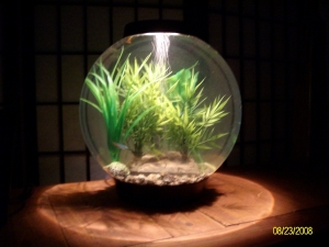 Bio Orb